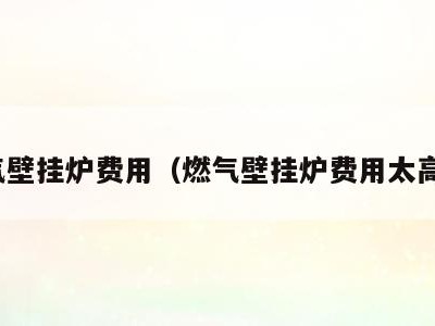 燃气壁挂炉费用（燃气壁挂炉费用太高了）