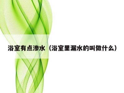 浴室有点渗水(浴室里漏水的叫做什么)