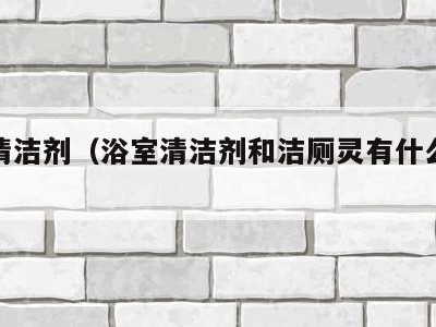 浴室清洁剂（浴室清洁剂和洁厕灵有什么区别）