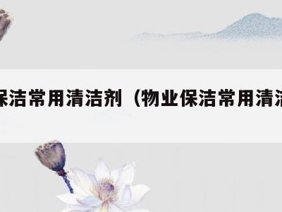 物业保洁常用清洁剂（物业保洁常用清洁剂标准）