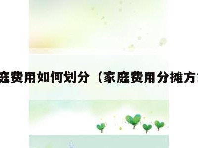 家庭费用如何划分(家庭费用分摊方式)