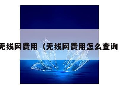 无线网费用（无线网费用怎么查询）