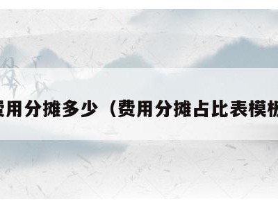 费用分摊多少(费用分摊占比表模板)