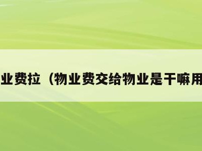 交物业费拉(物业费交给物业是干嘛用的?)