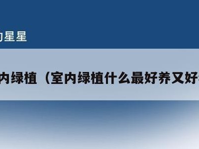 室内绿植(室内绿植什么最好养又好看)