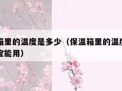 保温箱里的温度是多少（保温箱里的温度是多少宝宝能用）
