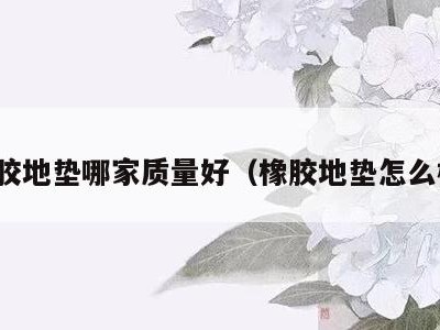 橡胶地垫哪家质量好(橡胶地垫怎么样)