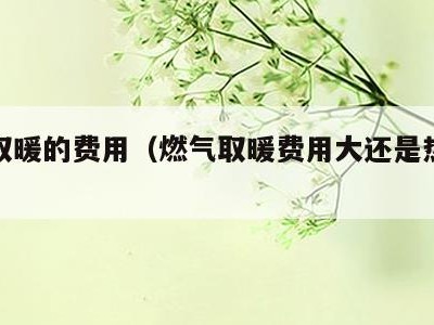 燃气取暖的费用(燃气取暖费用大还是热力费用大)