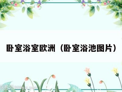 卧室浴室欧洲(卧室浴池图片)