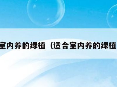 室内养的绿植（适合室内养的绿植）