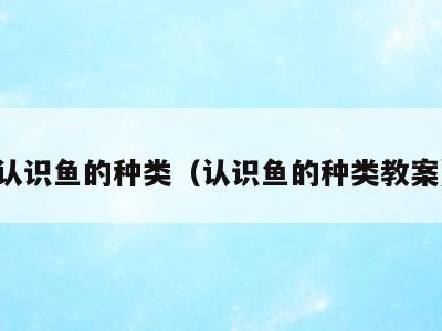 认识鱼的种类（认识鱼的种类教案）