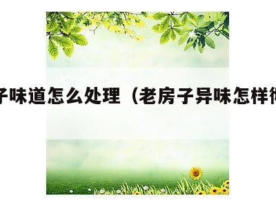 老房子味道怎么处理(老房子异味怎样彻底清除)