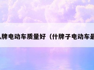什么牌电动车质量好(什牌子电动车最好)