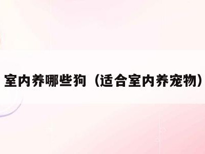 室内养哪些狗（适合室内养宠物）