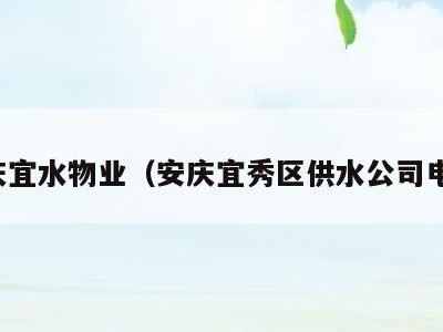 安庆宜水物业(安庆宜秀区供水公司电话)