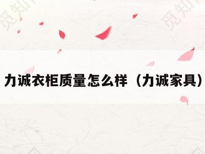 力诚衣柜质量怎么样(力诚家具)