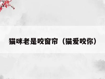 猫咪老是咬窗帘(猫爱咬你)