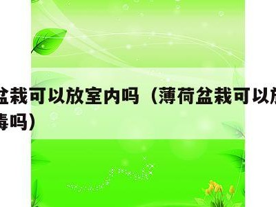 薄荷盆栽可以放室内吗(薄荷盆栽可以放室内吗有毒吗)