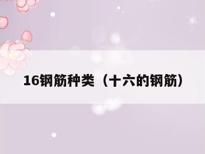 16钢筋种类(十六的钢筋)